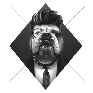 Bulldog